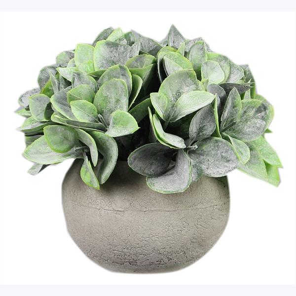 Eucalyptus in Rustic Planter