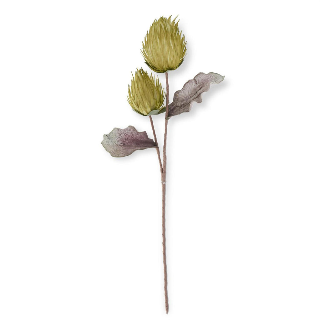 Green Double Thistle Cone Stem