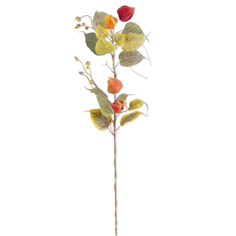 Fall Chinese Lantern Berry Stem
