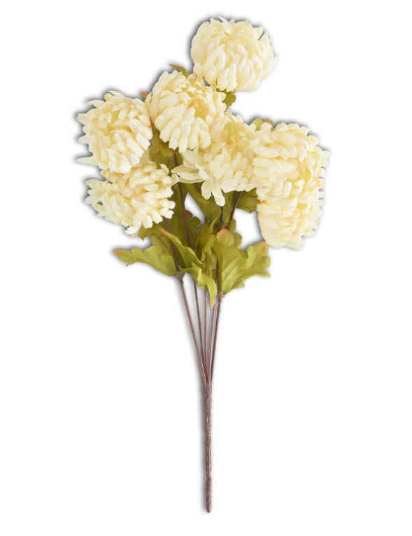 Cream Mum Bush