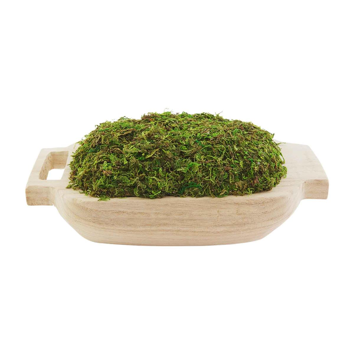 Moss Pot with Handles