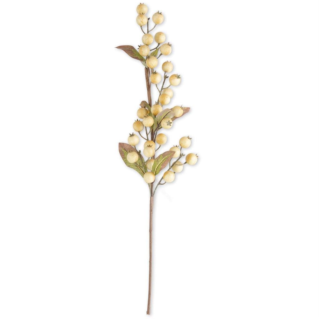 Cream Rosehip Stem