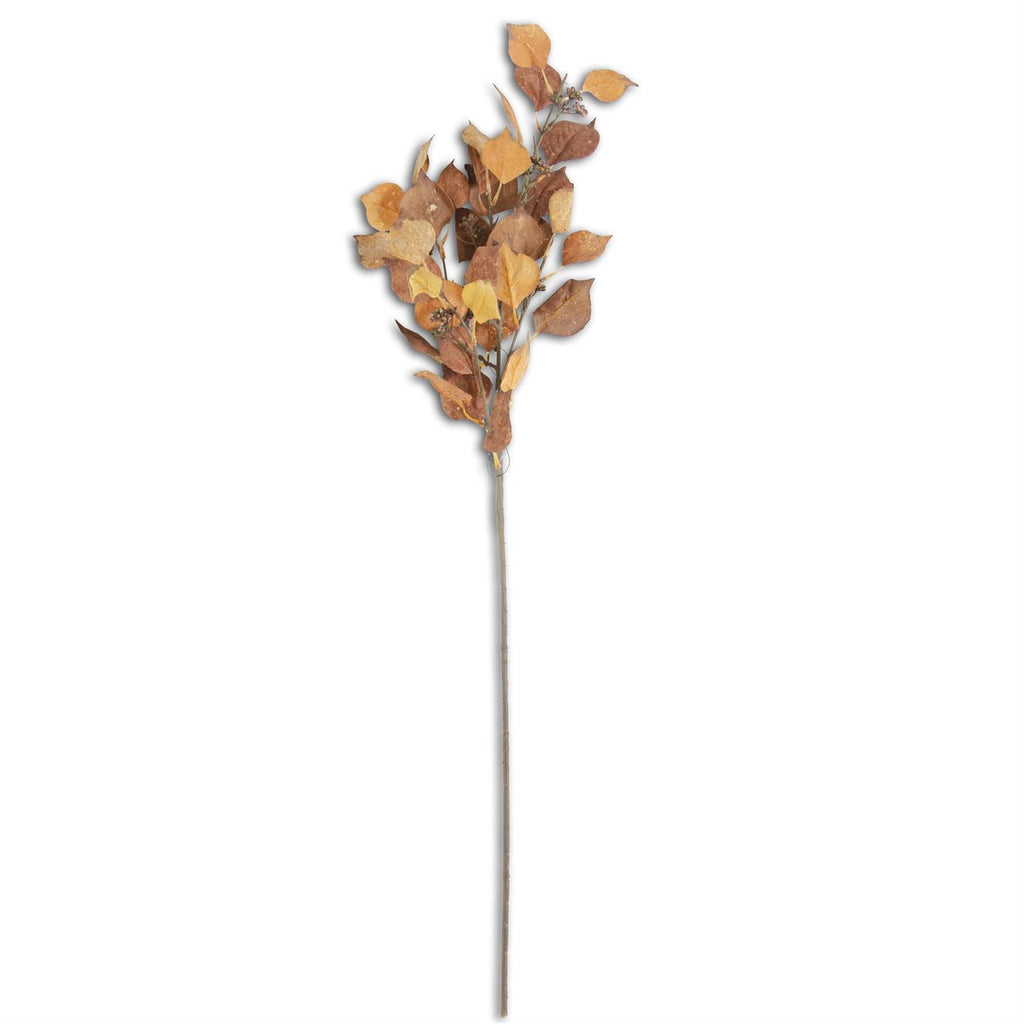 Mustard and Orange Cork Silverdollar Eucalyptus Stem