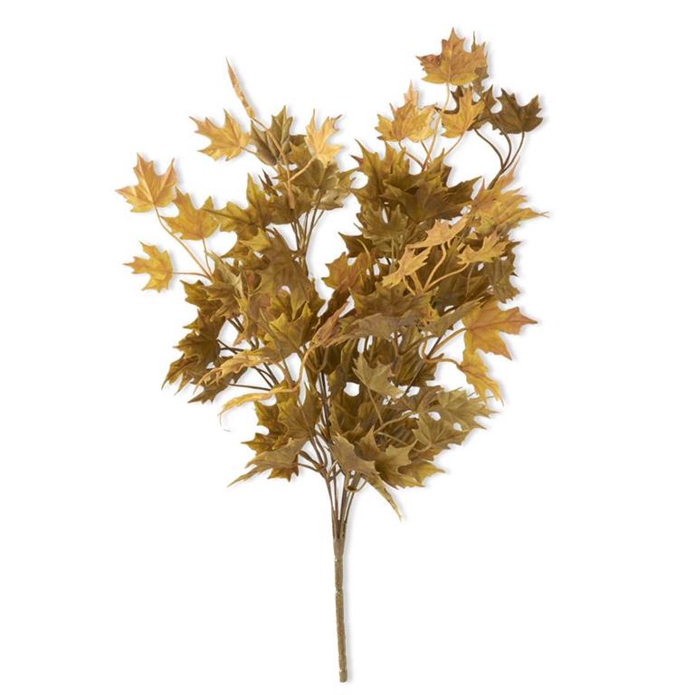 Fall Maple Leaves Bush