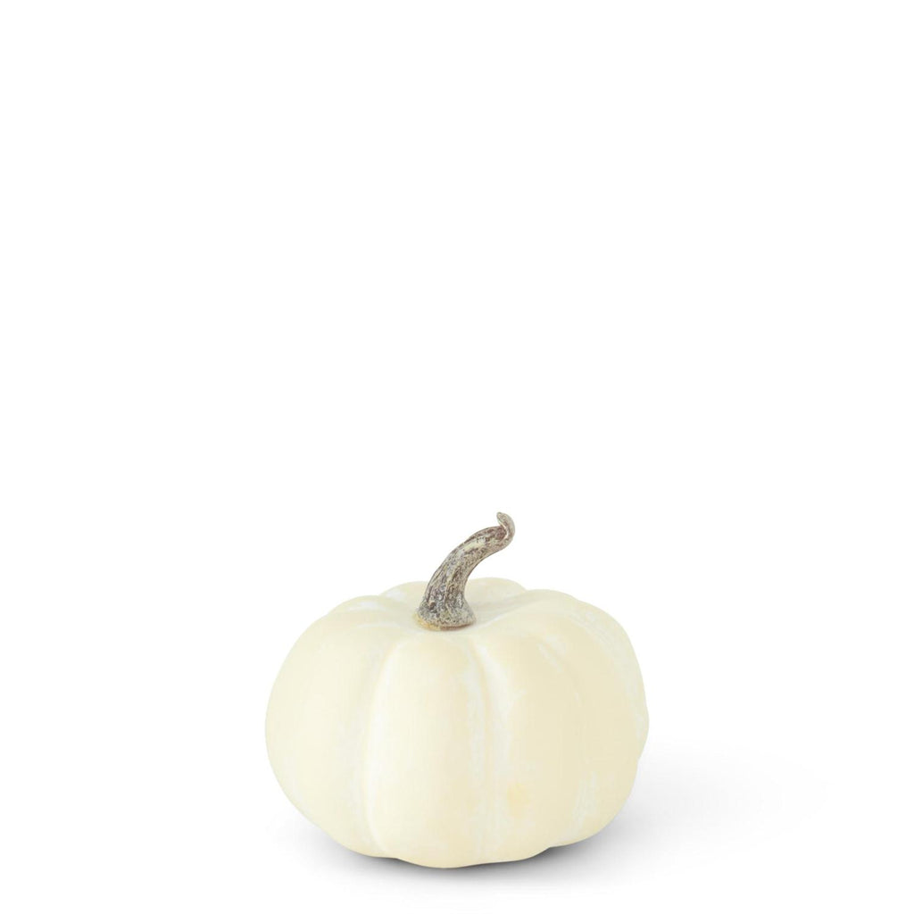 Bag of 6 Whitewashed Mini Pumpkins