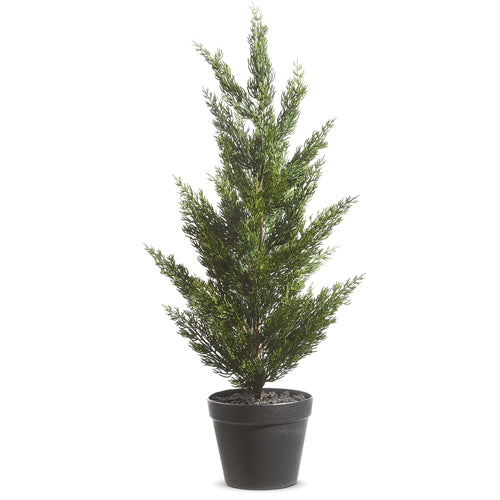 Tall Simple Cedar Potted Tree