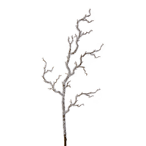 Icy Branch
