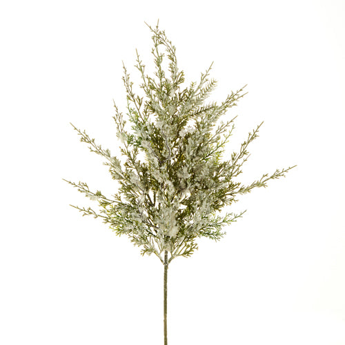 Snowy Cypress Spray