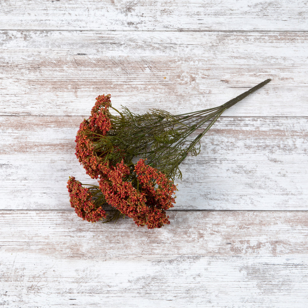 Orange and Red Queen Anne Lace Bush