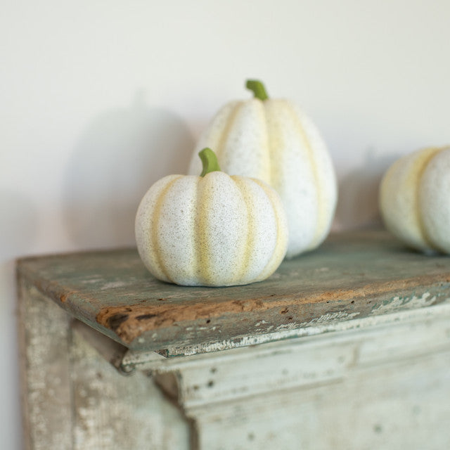 Medium White Speckle Pumpkin