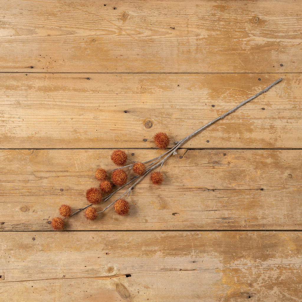 Burnt Orange Globe Thistle Spray