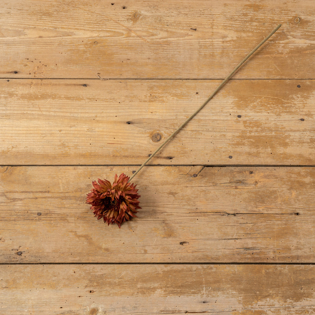 Burnt Orange Daisy Spray