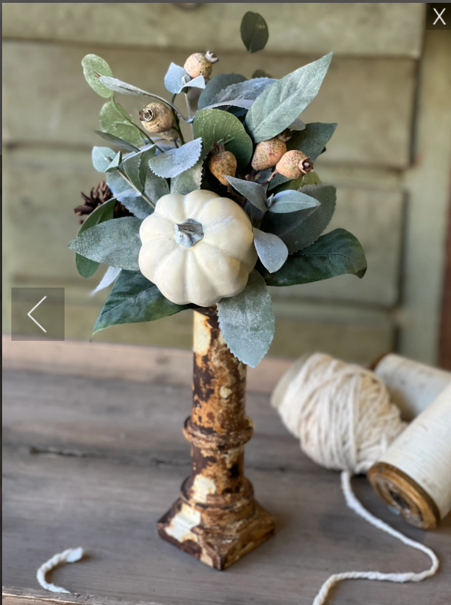 Gentry Acres Pumpkin Bush | 14"