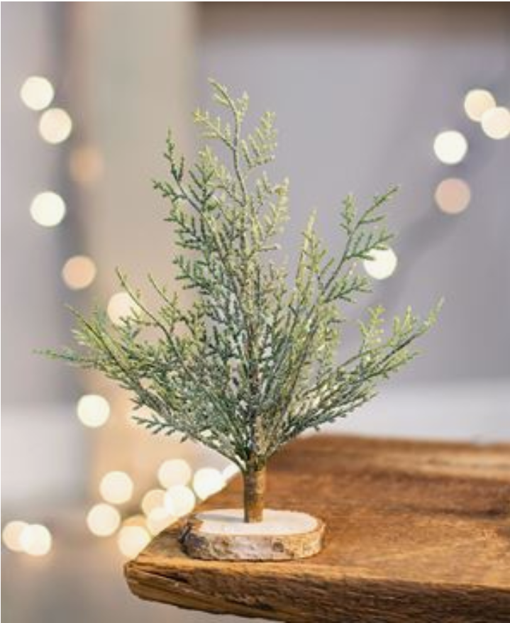 Mini Frosted Cypress Tree