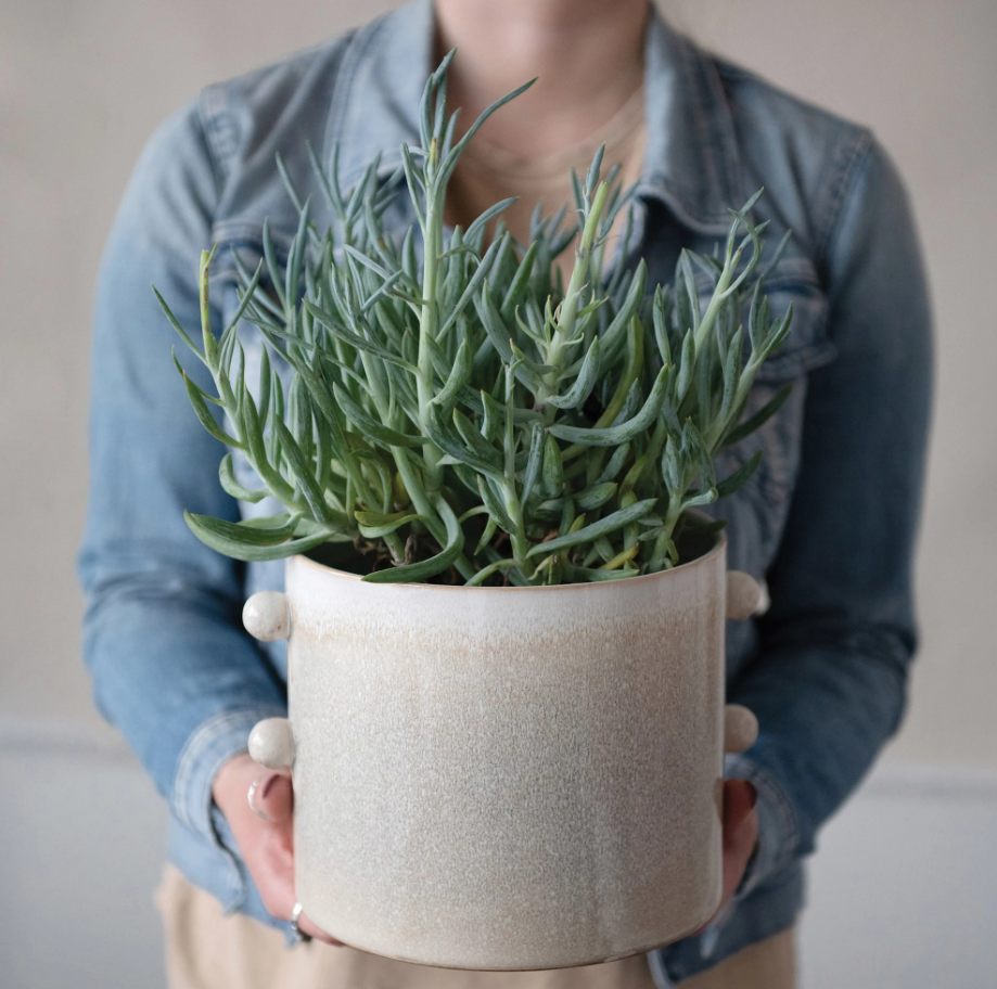 Celia Stoneware Planter with Glaze