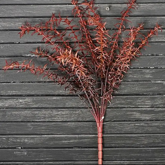 Burgundy Rosemary Bush