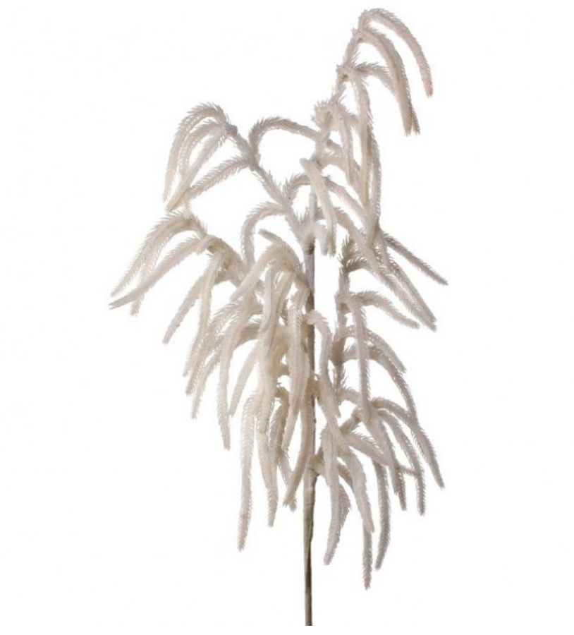 Flocked White Norfolk Pine Spray