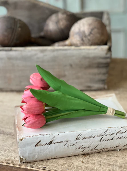 Poppet Tulip Bundle - Coral