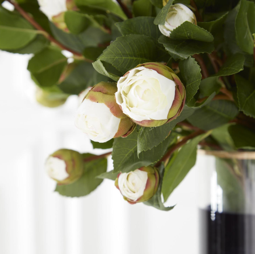 White Peony Bud Stem