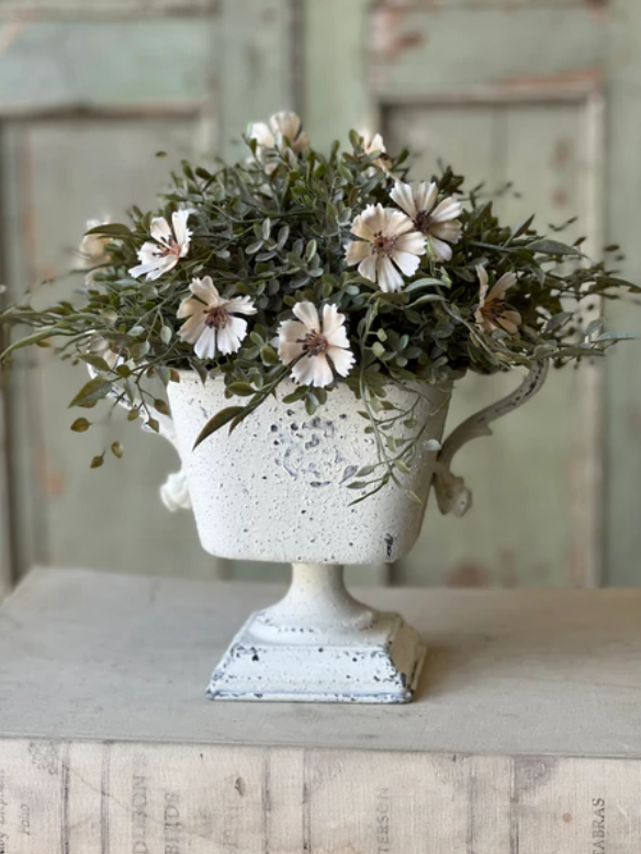 Apollo Urn