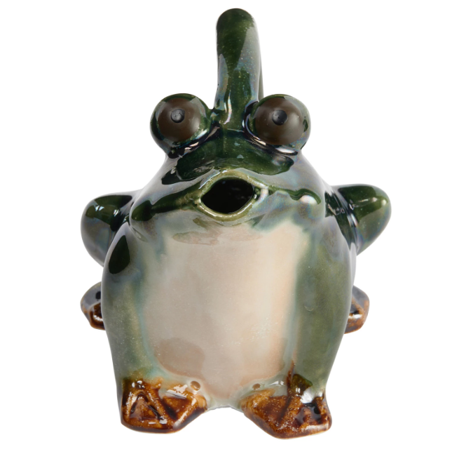 Frog Watering Pitcher