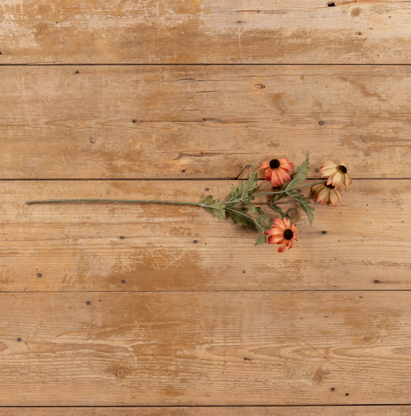 Rust Black Eyed Susan Spray