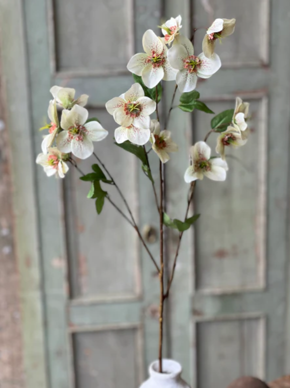 Lenten Boughs Spray - Cream