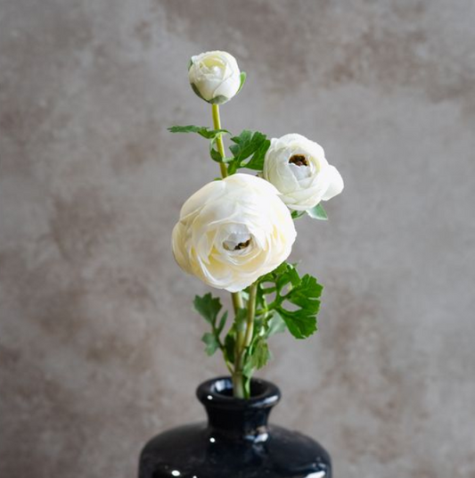 Tabitha White Ranunculus Stem