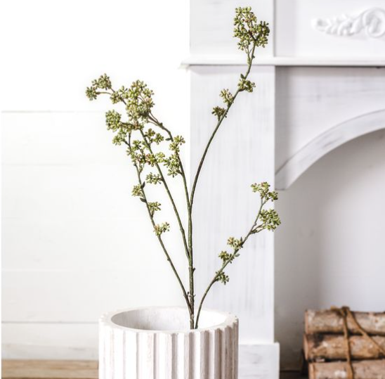 Rice Flower Stem