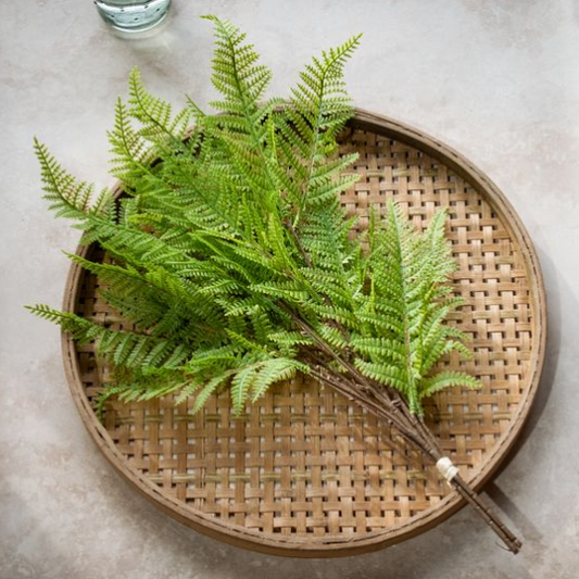 3 Stem Fern Bundle