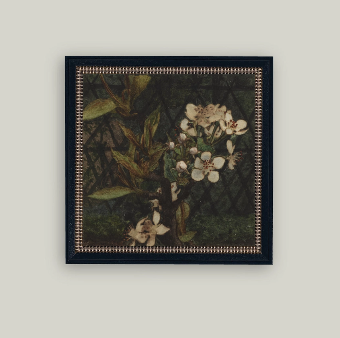 Dark Apple Blossom Framed Antique Art