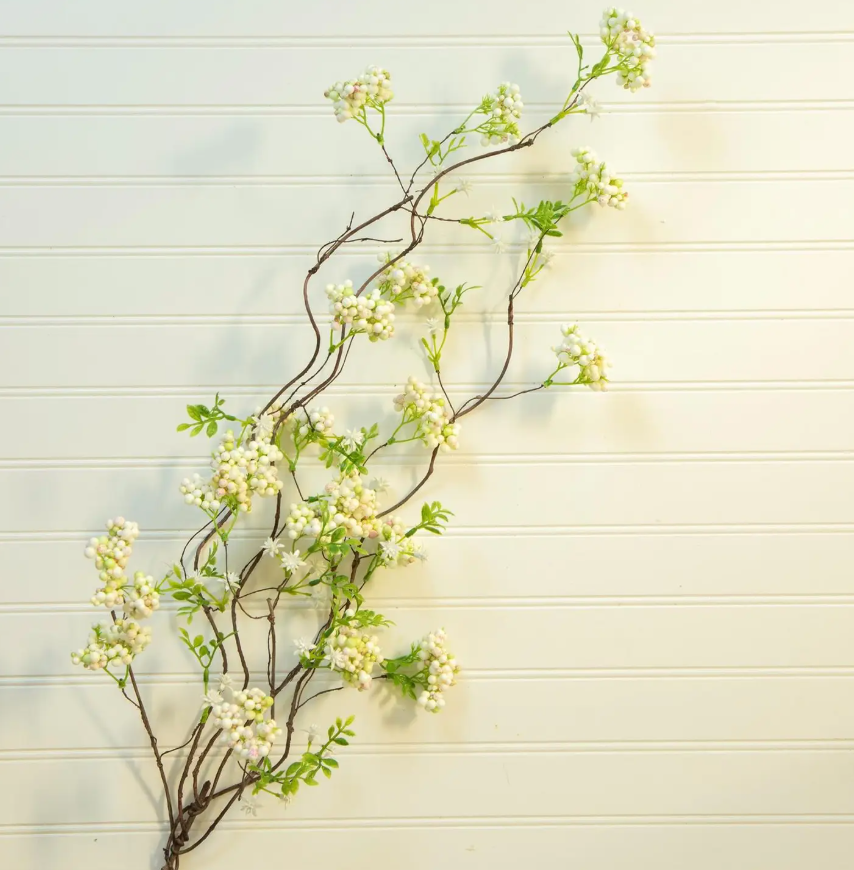 Arabian Jasmine Branch