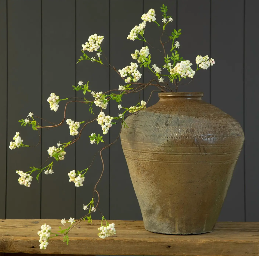 Arabian Jasmine Branch