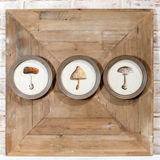 Mushroom Wall Art - 3 Styles