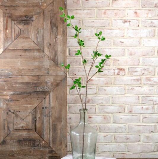 Small Green Leaf Stem