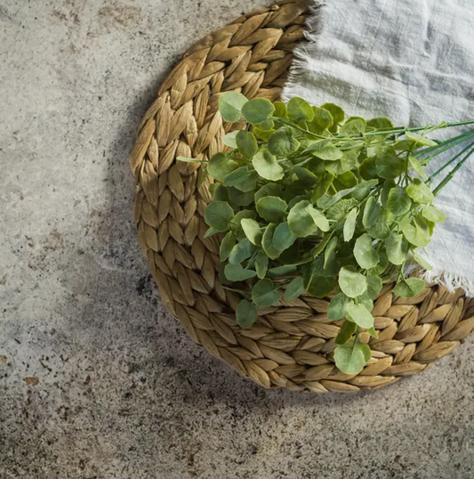 Light Green Poplar Leaf Bush