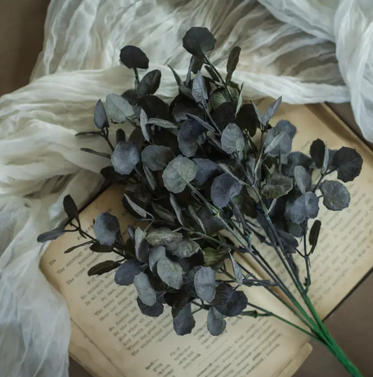 Purple Poplar Leaf Bush