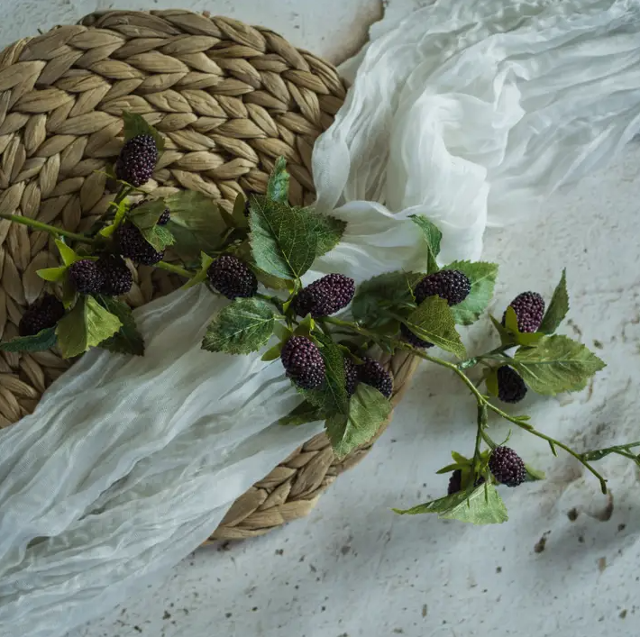 Mulberry Stem