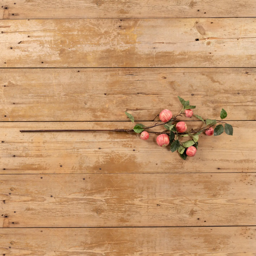 Apple Stem