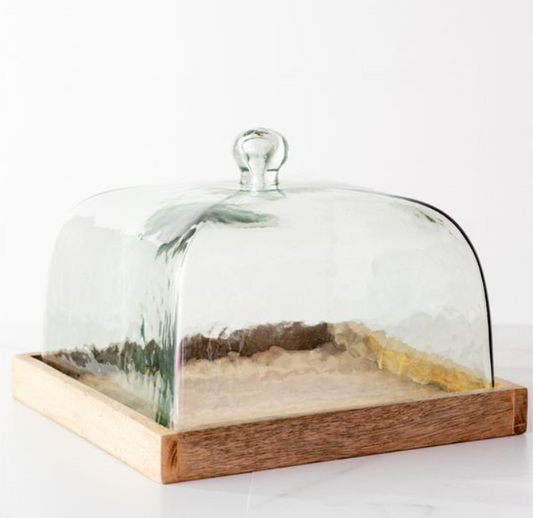 Chandler Square Glass Cloche with Wood Base