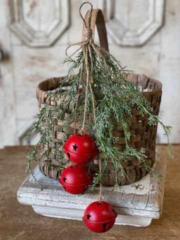 Ice Glazed Cedar Hanging