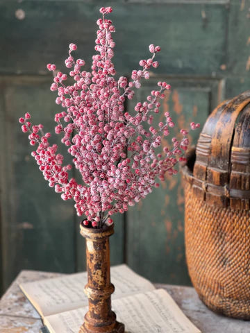 Snowy Sizzleberry Bush