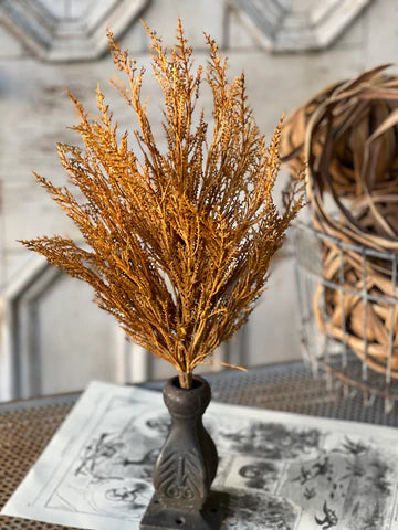 Wildthorn Bush - Maize