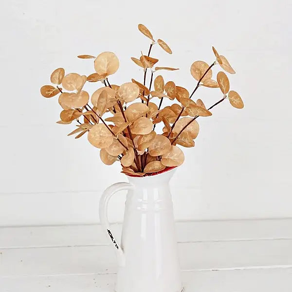 Beige Silver Dollar Eucalyptus Bush