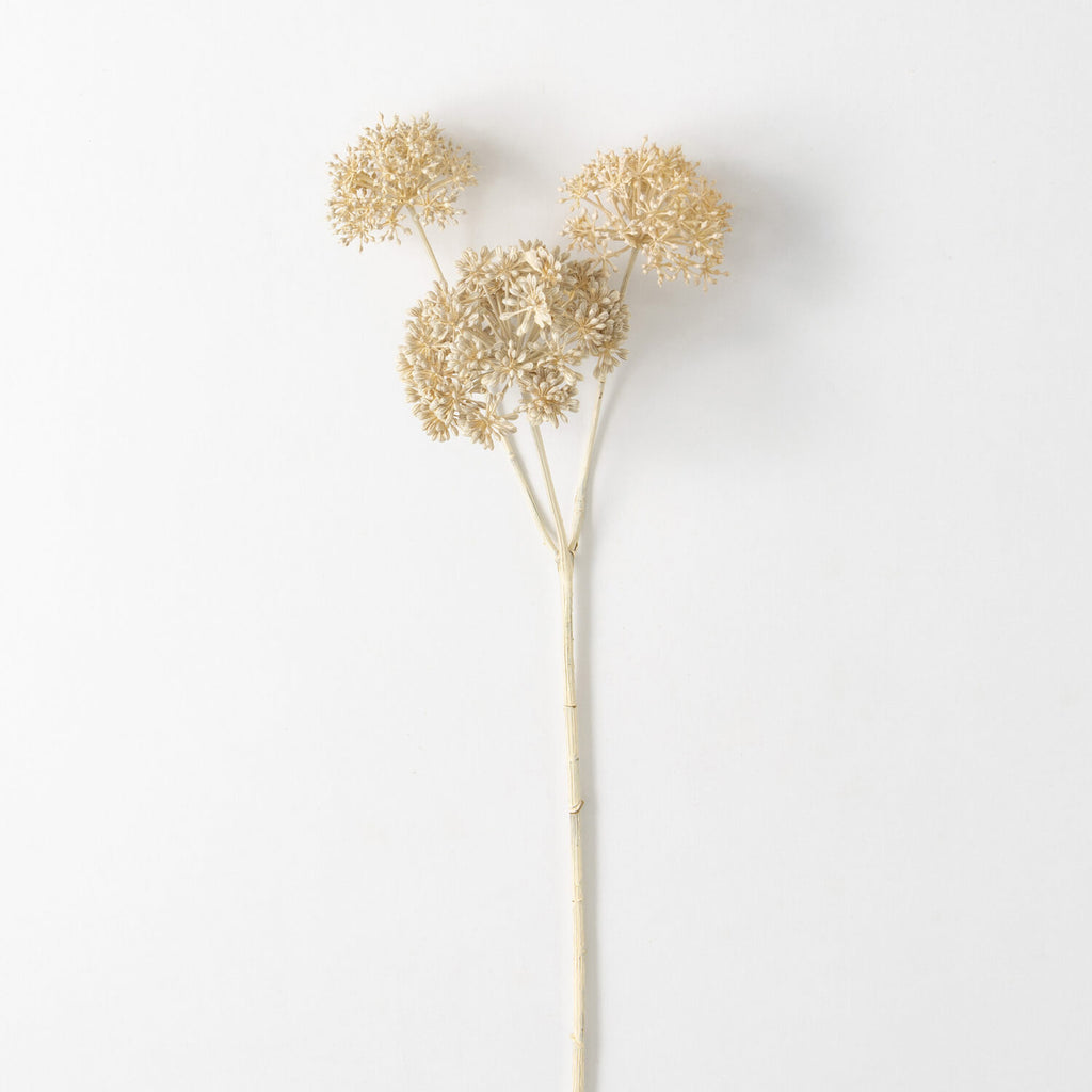 Cream Seed Pod Spray