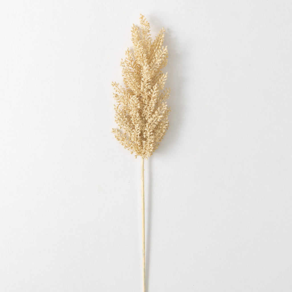 Astilbe Stem- Cream