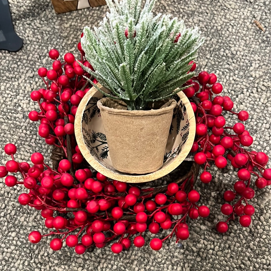 Red Berry Bowl Bundle