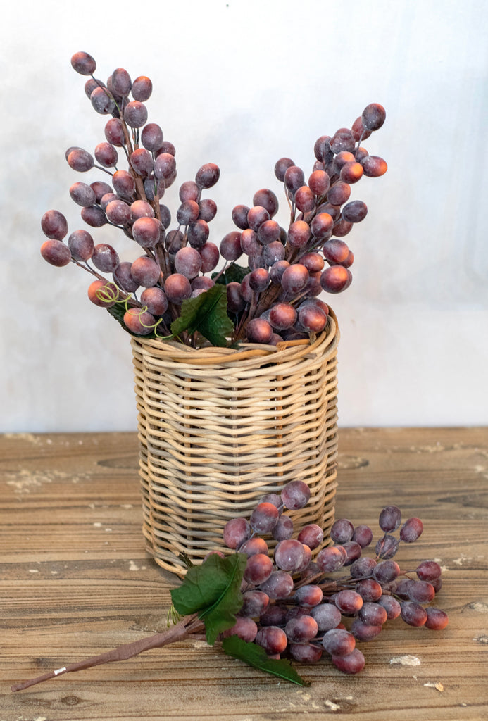 Grape Cluster Stem