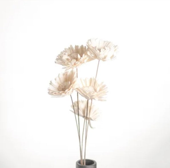 Dried White Sunflower Bundle