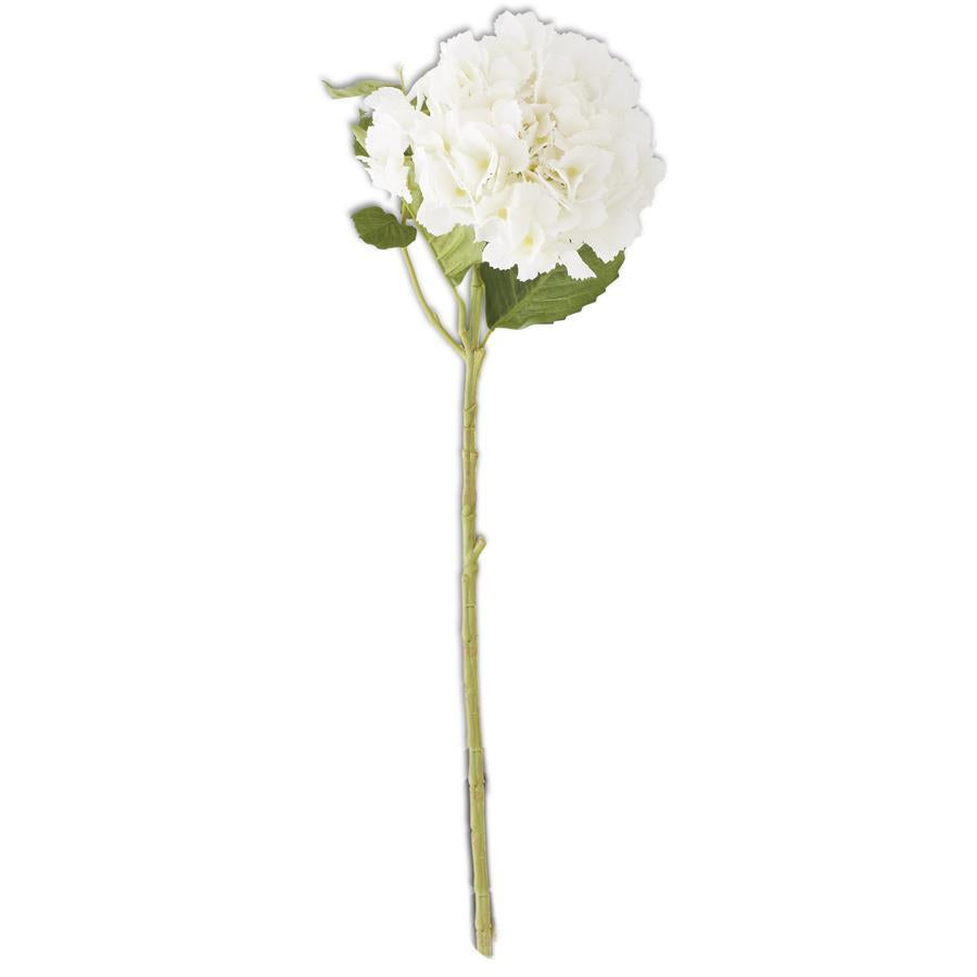 Hallee White Hydrangea